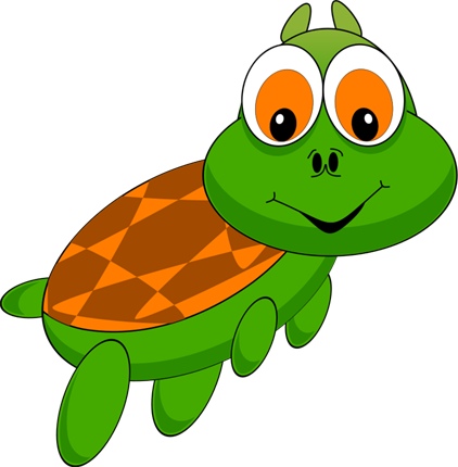 turtle_green.jpg